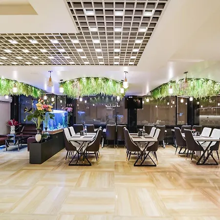 Hotel Ivy-2